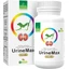 Temptation GreenLine UrineMax 120 tabletten
