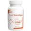 Dolvit Carnitine 90 comprimés