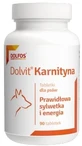 Dolvit Carnitin 90 Tabletten