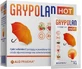 Grypolan Hot 10 pliculețe