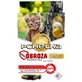 Flea Grooming Collar for cats 1 piece
