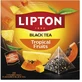 Lipton Tropical Fruits schwarzer Tee tropische Früchte 20 ...