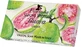 FLORINDA Natural plant guava soap 100 g