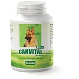 MIKITA canvital + Lecithin 150 Tabletten