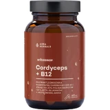 Mycodrop Cordyceps 30:1 + B12 30% Beta-Glucan 60 capsules