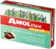 Amolowe Na Keel Kruidenpastilles 16 zuigtabletten