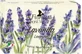 FLORINDA Natural lavender soap 200 g