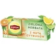 Lipton Grüner Tee mit einem Hauch von Zitrusfrüchten 20 Beutel