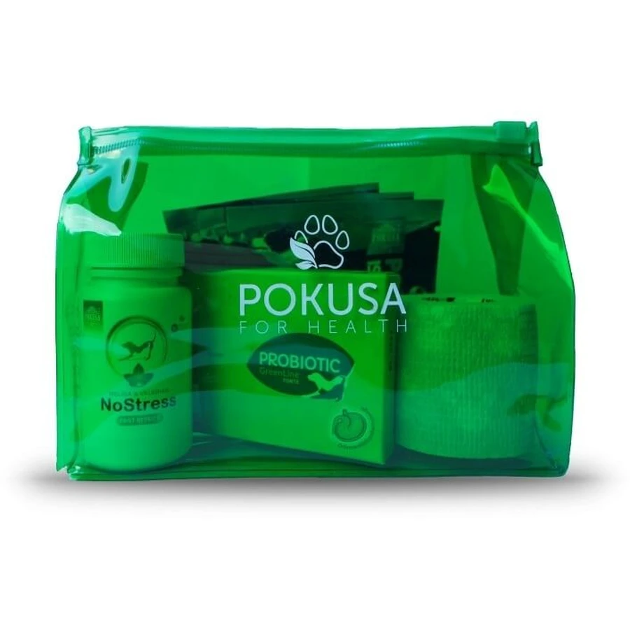 Temptation For Health Eerste Hulp Kit voor honden + Geactiveerde Houtskool