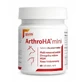 Dolvit Arthro Ha soutient le bon fonctionnement des articulations ...