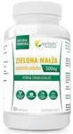 Wish New Zealand Green Mussel 60 capsules