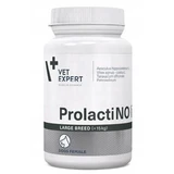 Vetexpert Prolactino for large dog breeds 40 tablets