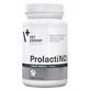 Vetexpert Prolactino for large dog breeds 40 tablets