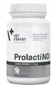 Vetexpert Prolactino for large dog breeds 40 tablets