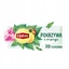 Lipton Mango Nettle ceai de plante 20 plicuri