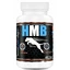 GAME DOG HMB 120 Tabletten