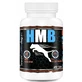 GAME DOG HMB 120 Tabletten