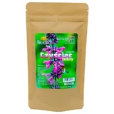 PROHERBIS Purgatoriu forestier 50 g