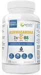 Wish Ashwagandha + Zn + C + B6 120 tabletten