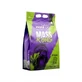 HIRO.LAB Mass KONG cookie flavor 3000 g