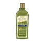 Dalan d'Olive Champú Anticaspa 400 ml.