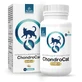 Temptation ChondroLine ChondroCat 110 Tabletten