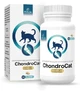 Temptation ChondroLine ChondroCat 110 Tabletten