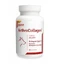 ArthroCollagen 90 tablets