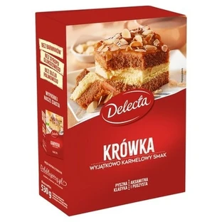 Delecta Ready mix for baking Cake Fudge 530 g