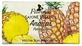 FLORINDA Natural vegetable soap pineapple 100 g