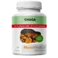 MycoMedica Chaga 50% 90 capsules