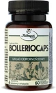 Bolleriocaps 60 gélules