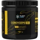 Slavic Labs Cordyceps DER 20:1 100 g (Date d'expiration ...