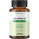 Solida Pharm Lactoferrin 100 mg 60 Kapseln