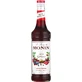 Sirop de fruits de la forêt aux baies rouges épicées de Monin 0,7 l