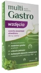 Multigastro Flatulence, chewable abl.20 tablets