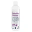Dechra Dermallay Havermout Kalmerende Shampoo voor Hond, Kat ...