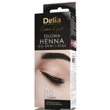 DELIA Gel Henna para cejas y pestañas negro 15 ml