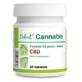 Dolvit Cannabis 30 comprimidos