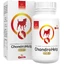 Temptation ChondroLine ChondroHelp 110 Tabletten