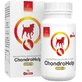 Temptation ChondroLine ChondroHelp 110 Tabletten
