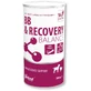 VETFOOD BB & Recovery Balance Professional 500 g