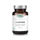 Power Health | Classics Platinum Livapure | Speciale Leverformule met Mariadistel (Silymarin) | 30Tabs