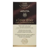 Apivita | My Color Elixir Permanent Hair Color No 5.65 Chestnut Light Red Maoni | 50ml