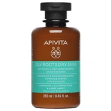 APIVITA Balancing Shampoo voor Vette Wortels & Droge Wortels met Brandnetel & Propolis 250ml