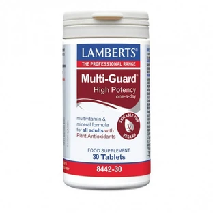 LAMBERTS Multi-Guard High Power One a Day 30 tabletten