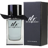 Burberry Mr. Burberry Eau de Toilette 100ml