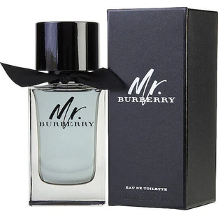 Burberry Mr. Burberry Eau de Toilette 100ml
