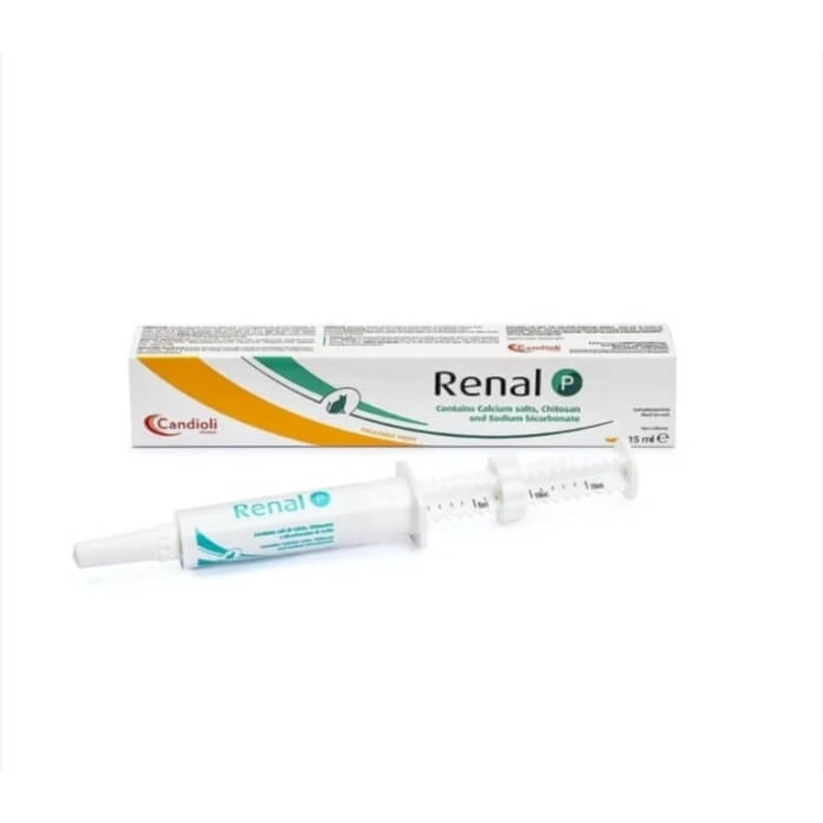 RENAL P Paste 15 ML