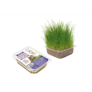 Nayeco Katzenminze - 120g